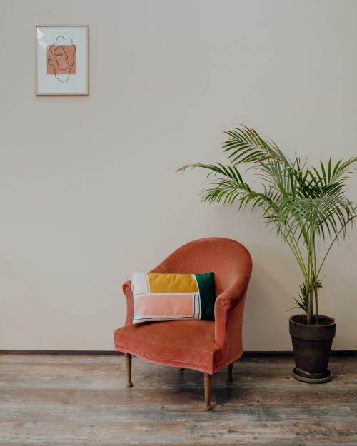 Affiche Apollon et Coussin Petra